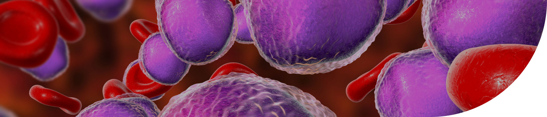 D_Heamatology_b-all-banner