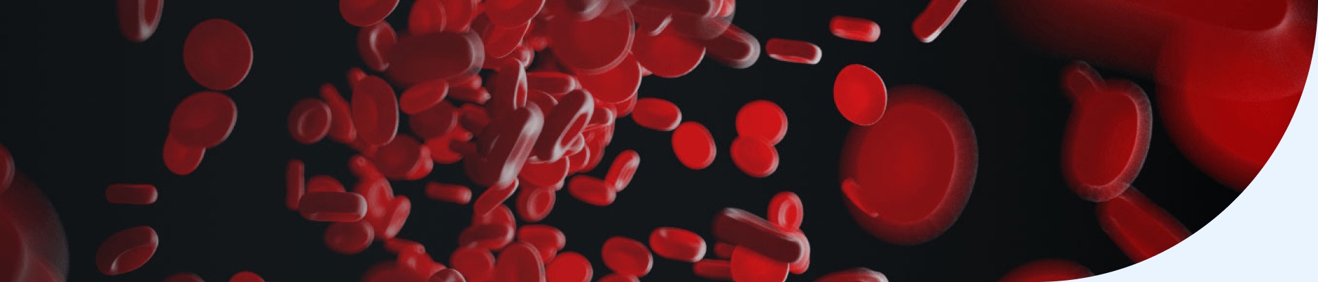 Platelets in a blood vessel