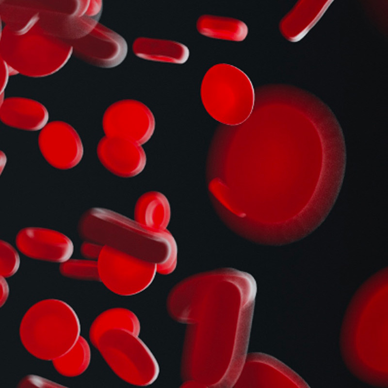 Red blood cells