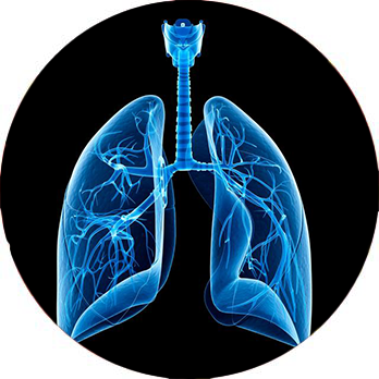 Oncology Small Cell Lung Cancer-box1