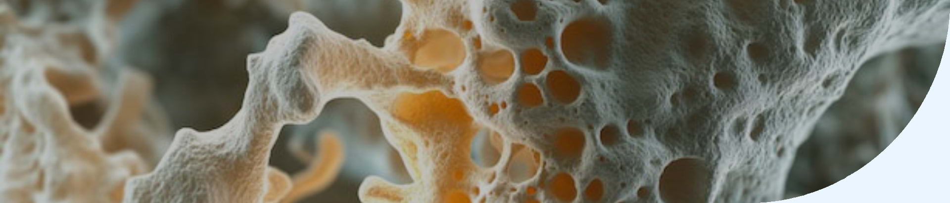 D_Products-Bone-Health