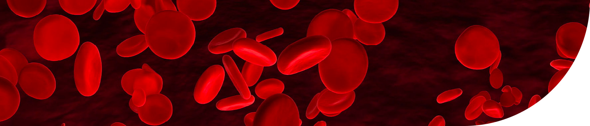 Platelets