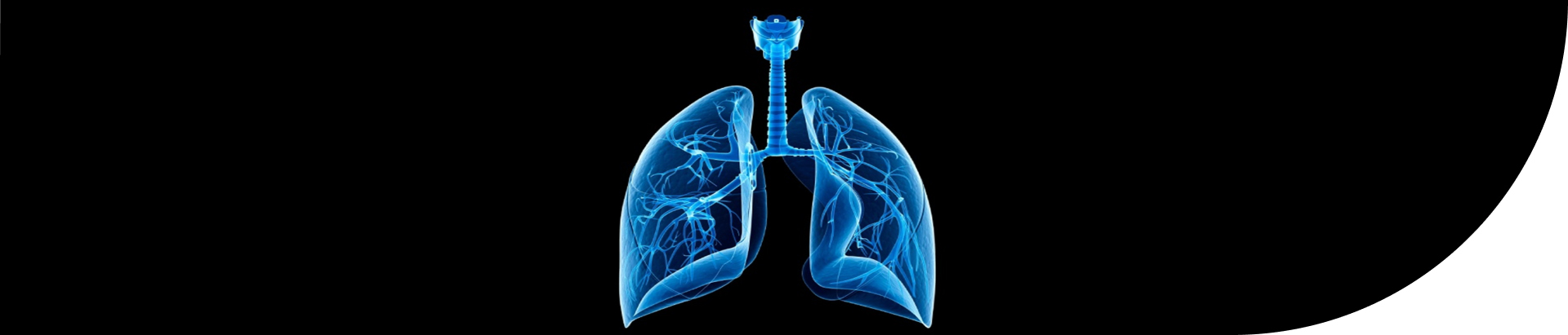 AMG_IMG_Science_Lungs_Dark